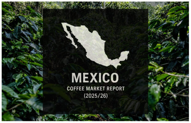 Mexico Coffee Report: Production Up Slightly while Soluble Exports Surge