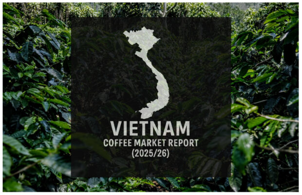 Vietnam Coffee Report: Production, Exports and Consumption All Rising